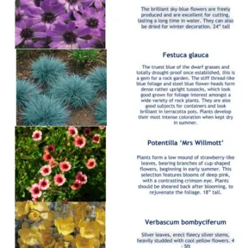 Plant Details 2020 Part 1 05-20_200511_page_002