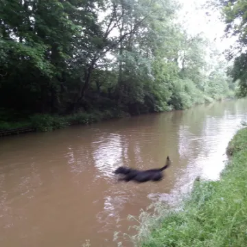 Image: 20200619_093329_11