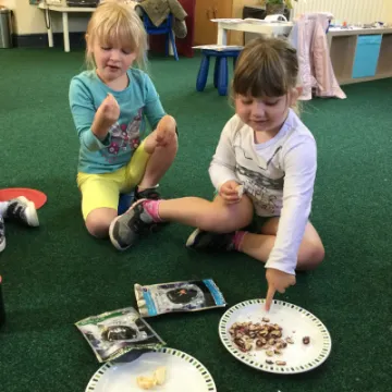 Image: 65DAE09F-47E5-4317-ACA9-A385F7B1DBF8