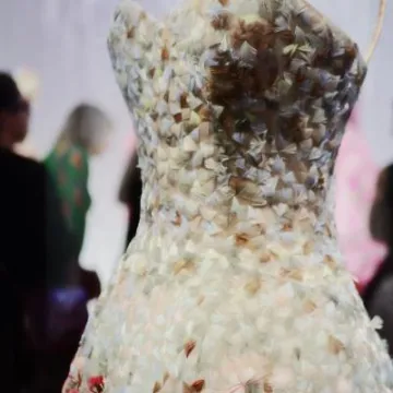 Image: 5FE33B70-128D-4B81-813E-332461E2AF68