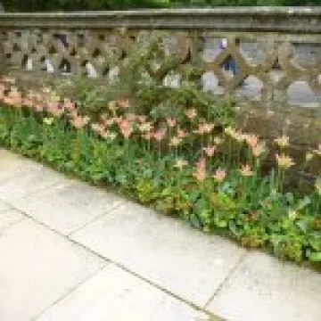 P1010563