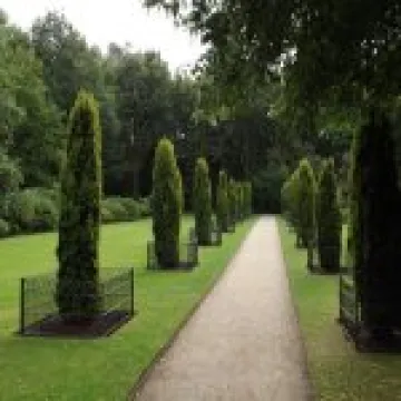 DSCF0680