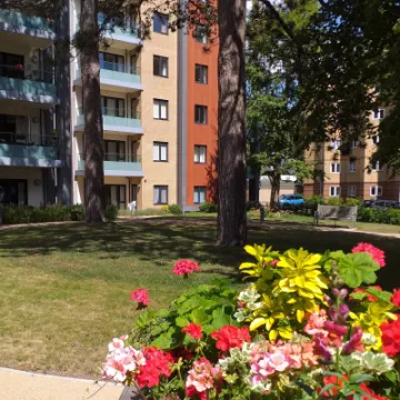 maidment P Rd with flowers