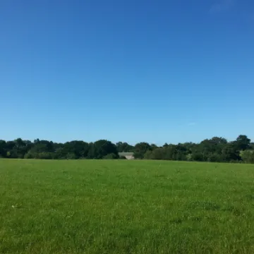 Image: 20200830_093158