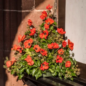 flowers