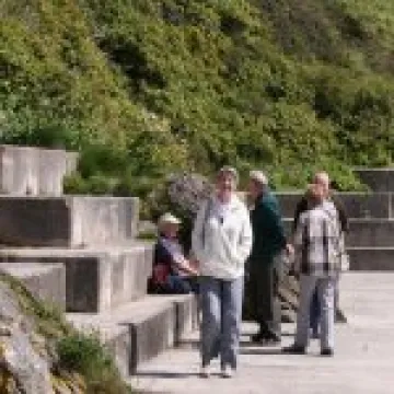 IMG 5334