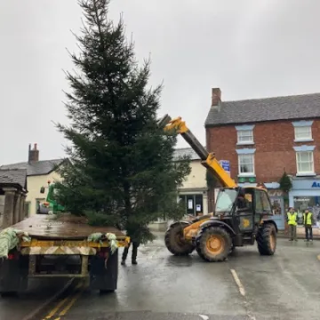 ADAS 1- Tree Arrives