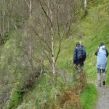 IMG 0008