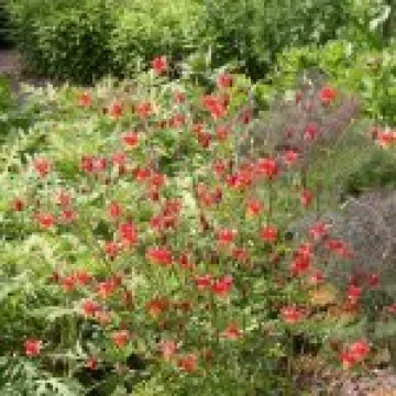 IMG 4656
