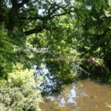 Lyme Park 006
