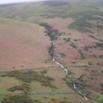 20070517 0061