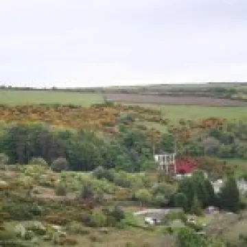 20070517 0069