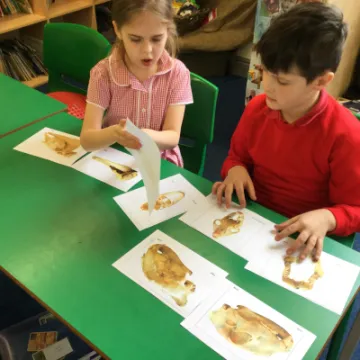 Image: 126A566B-47E2-459D-BA84-2956B4E939F9