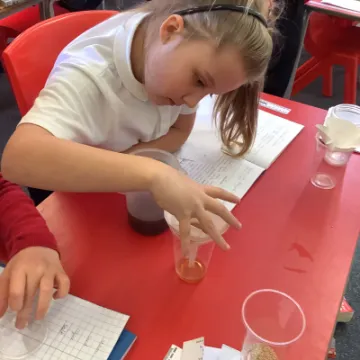 DDE212F5-E774-429A-BF50-8C4050E7C89E