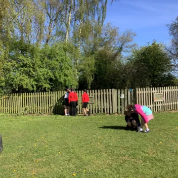 Image: 09E47A37-325F-4A72-9032-708D3BE04975