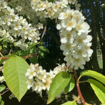 Image: 16E0A450-8F78-470D-9696-6880237799F4