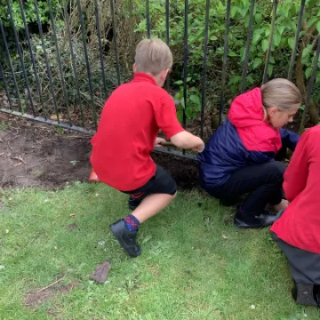 Image: 8C541D1E-E616-4513-A07C-C2F0481B21D1