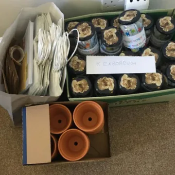 Count Your Blessings  – 3