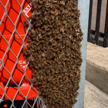 31 May – Bexley Heath Service Station