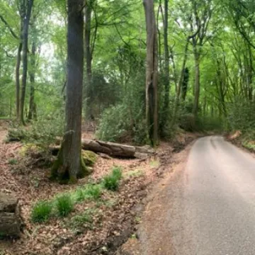 2 June – A breath of fresh air