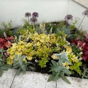 Image: 2021_06_10 Sensory Beds