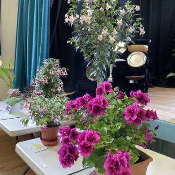 Image: 8CC1B620-C5F7-4712-AC62-286D381D26D6