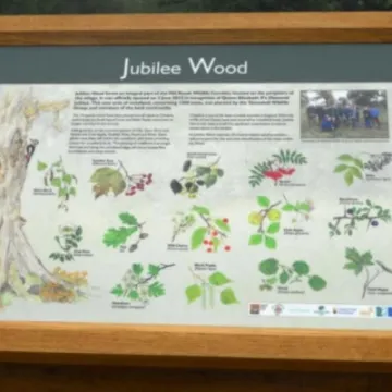 Jubilee Wood