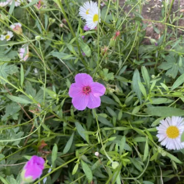 D71C0BE0-62F4-4D1D-A51D-F76129958C53