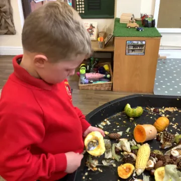 Image: 58846799-62F2-4326-B620-3A48E1FEB343