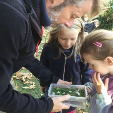Minibeasts 2