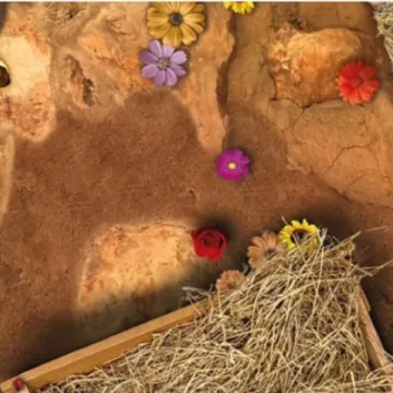 From Chaos to Christmas