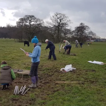 Hedge Planting