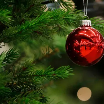 Christmas red Bauble on tree