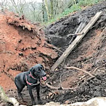 Raw Head Storm damage