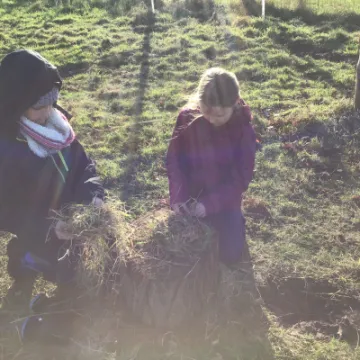 73217C72-CF2C-45BC-A1F5-804F7F5479DB