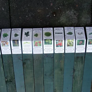 First Ten Identifier Signs