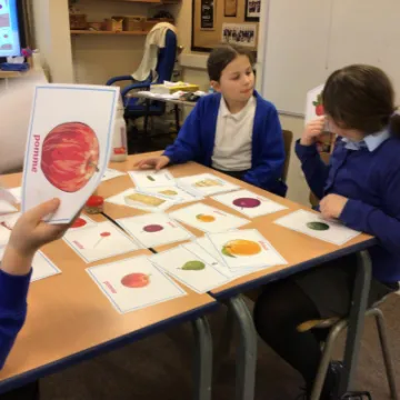 B8F21B22-5953-434B-AB5A-98E3A4582EE4