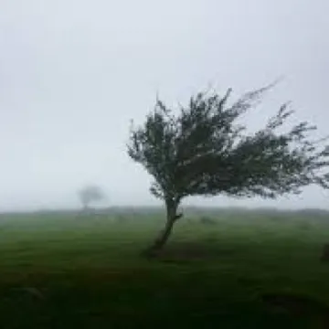 Winds gusting