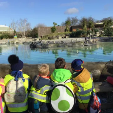 EC00526E-A7E6-465A-9F51-F47F578B3399