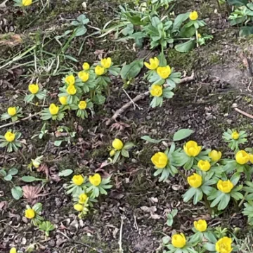 9A70B14F-75A2-4157-8DBA-7B15398880DE