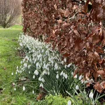 60978351-A9DC-4AA4-977B-D1327A190109