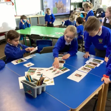 D9A446F3-9F3D-4B0B-8C43-1A8EFB87DB99