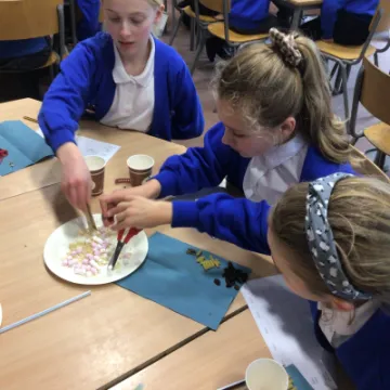 6AE8F328-77F5-4B0E-9EA7-DE07942EA988