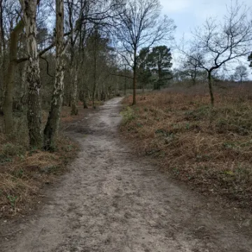 PXL_20220217_114508540