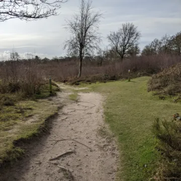 PXL_20220211_121428146-MP