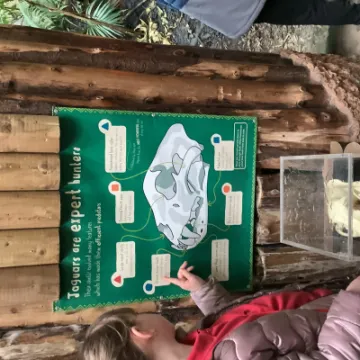 49F31608-F8B4-408F-95BC-75FB35E454D9