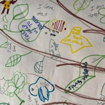 C55CDAD8-4408-4016-86E2-5577C73A949F