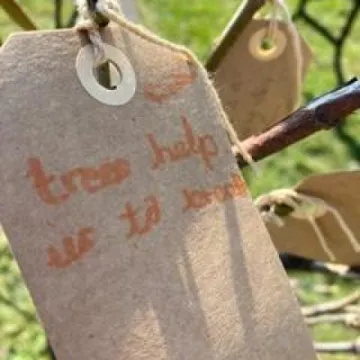 FE86AD57-41DB-47BF-83F9-F45A470505C2