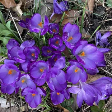 6DB912B7-7C42-4DE2-9344-C8923BBE0193