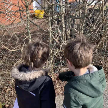 6247709C-915B-46FA-8310-028CF5EB6AF8